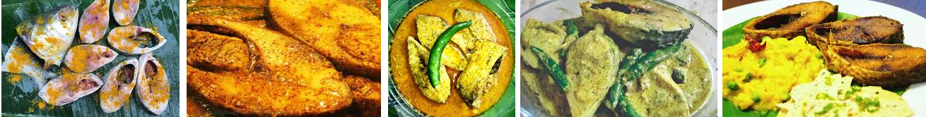 ilish a3